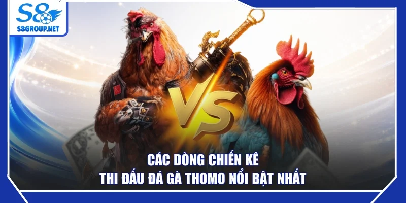 Các dòng chiến kê thi đấu đá gà Thomo nổi bật nhất