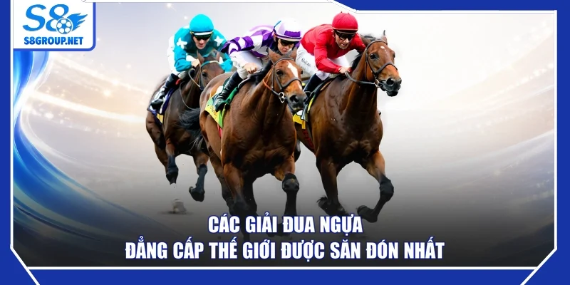 Các giải đua ngựa đẳng cấp thế giới được săn đón nhất