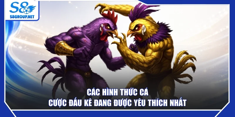 Các hình thức cá cược đấu kê đang được yêu thích nhất