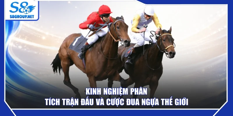Kinh nghiệm phân tích trận đấu và cược đua ngựa thế giới