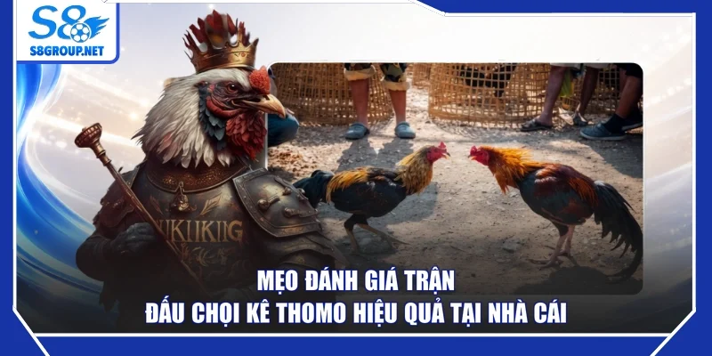 Mẹo đánh giá trận đấu chọi kê Thomo hiệu quả tại nhà cái