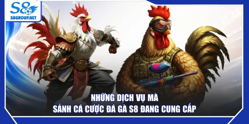 Những dịch vụ mà sảnh cá cược đá gà S8 đang cung cấp