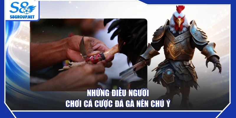 Những điều người chơi cá cược đá gà nên chú ý