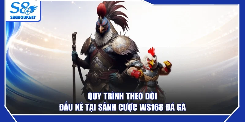 Quy trình theo dõi đấu kê tại sảnh cược WS168 đá gà