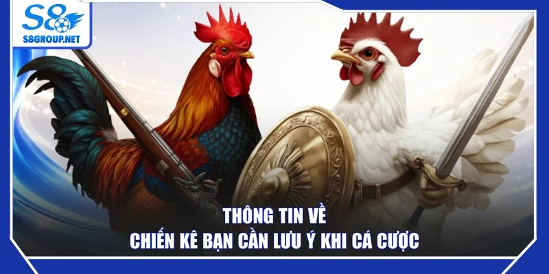 Thông tin về chiến kê bạn cần lưu ý khi cá cược