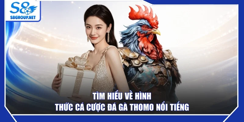 Tìm hiểu về hình thức cá cược đá gà Thomo nổi tiếng
