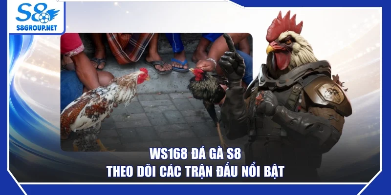 WS168 Đá Gà S8 – Theo Dõi Các Trận Đấu Nổi Bật